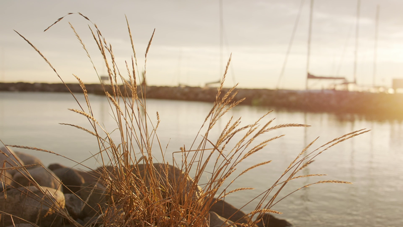 Fra Åsgårdstrand