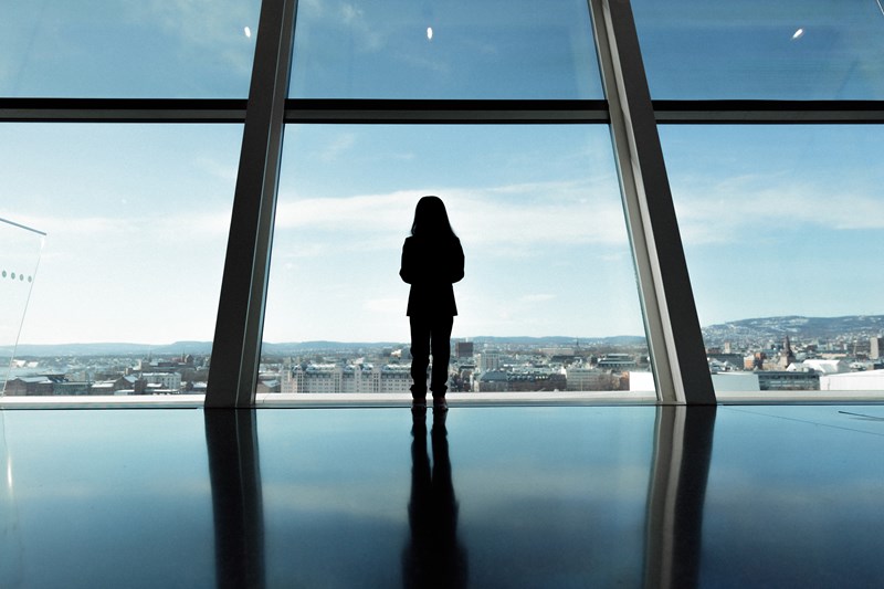 A young girl taking in the spectacular view from the top of the building