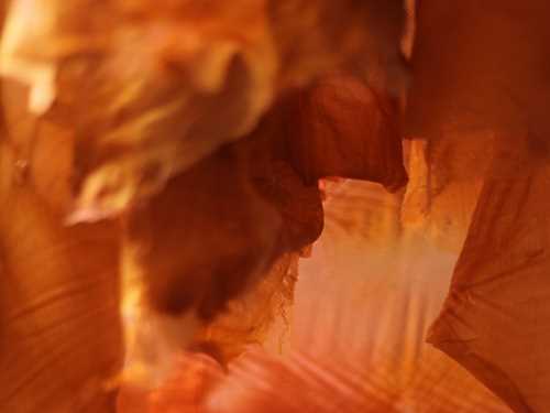 Et nærbilde av et tykt, seigt og delvis gjennomsiktig materiale i varme brun-oransje farger.