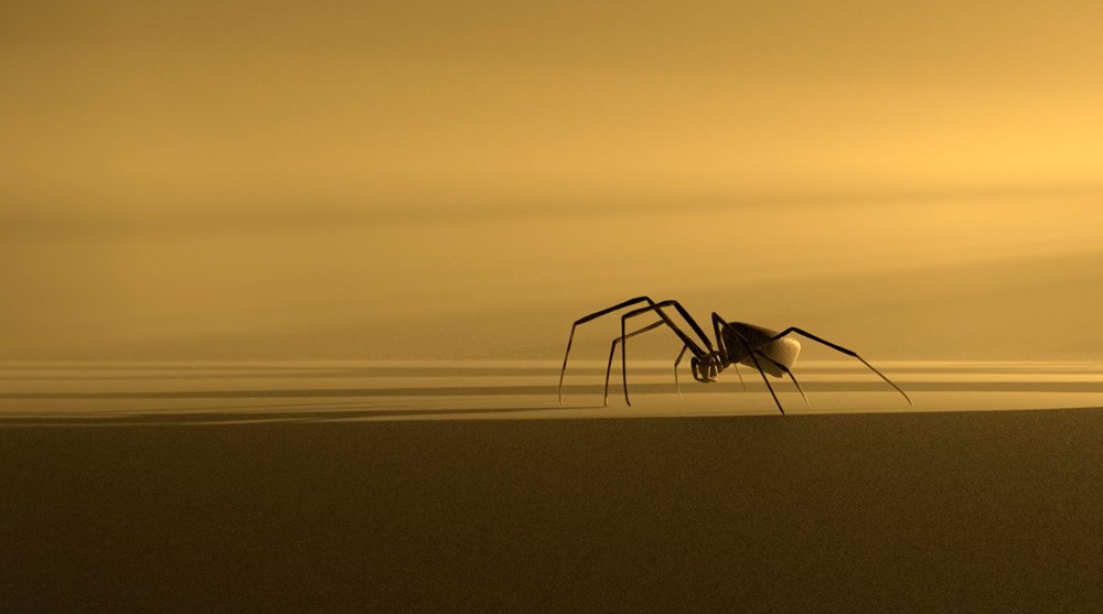 A metal spider inside a room where the light comes in from the right side. Gold-coloured background. Photograph.